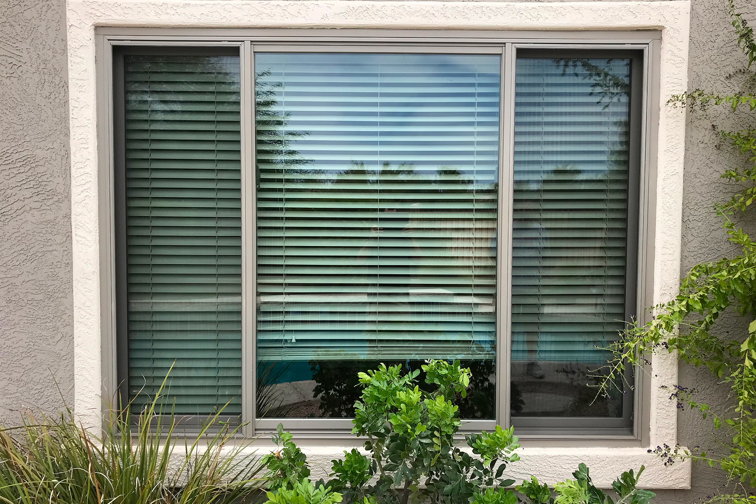 Gliding windows in a basement room from the perspective of the home's exterior.