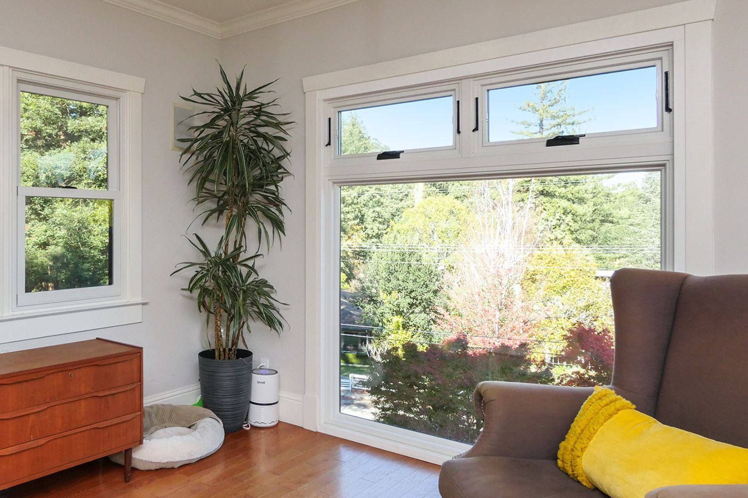 White living room with a large picture window and two awning windows side by side above it.