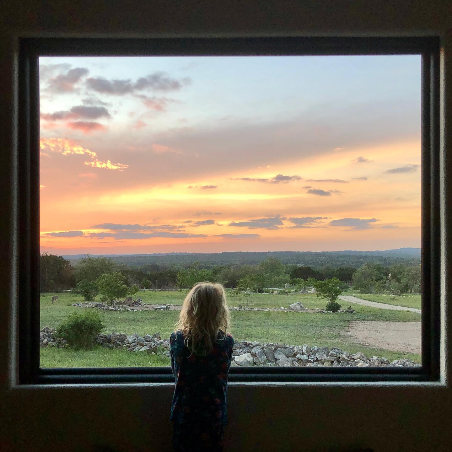 A child watching a sunset out a picture window.